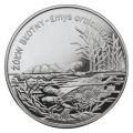 Zwierzęta świata - Żółw Błotny
